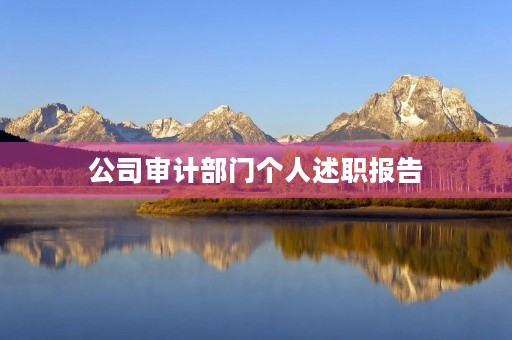 公司审计部门个人述职报告