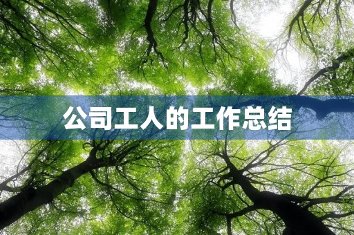 公司工人的工作总结