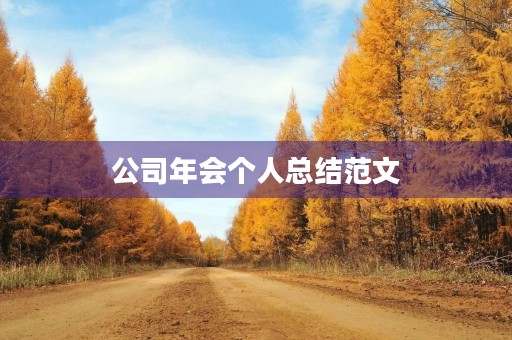公司年会个人总结范文 公司年会个人总结范文