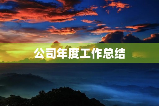 公司年度工作总结（个人通用）