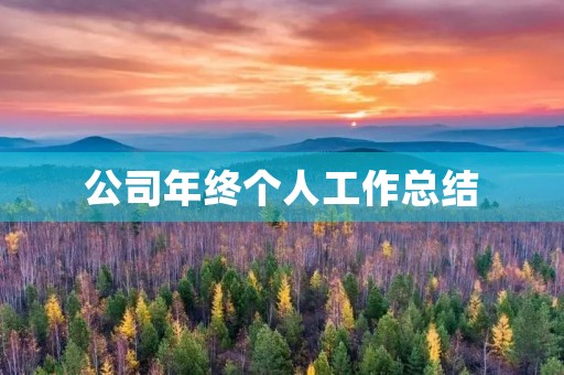 公司年终个人工作总结（10篇）
