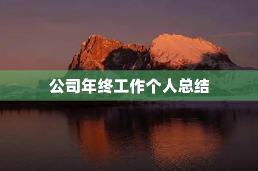公司年终工作个人总结
