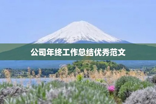 公司年终工作总结优秀范文