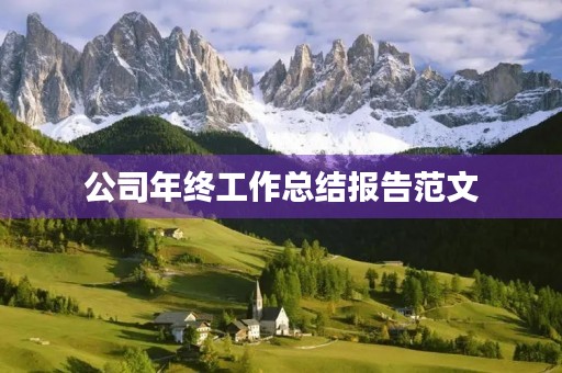 公司年终工作总结报告范文