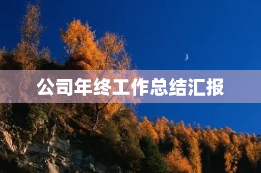 公司年终工作总结汇报