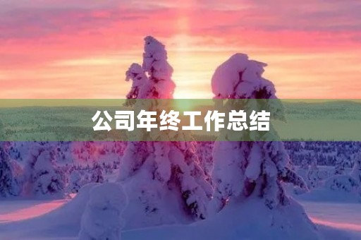 公司年终工作总结