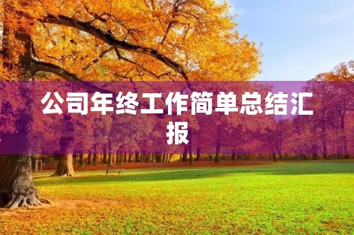 公司年终工作简单总结汇报