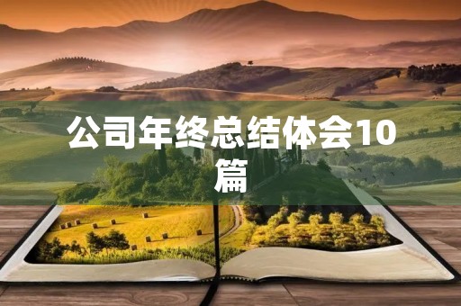 公司年终总结体会10篇