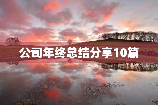 公司年终总结分享10篇