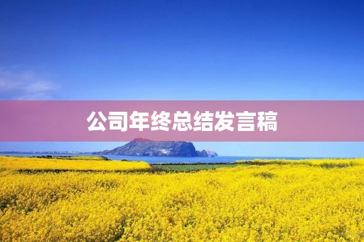 公司年终总结发言稿