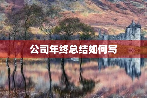 公司年终总结如何写