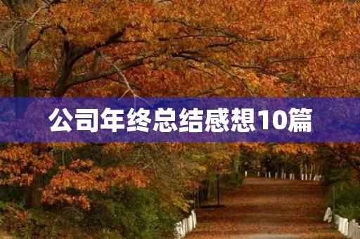 公司年终总结感想10篇