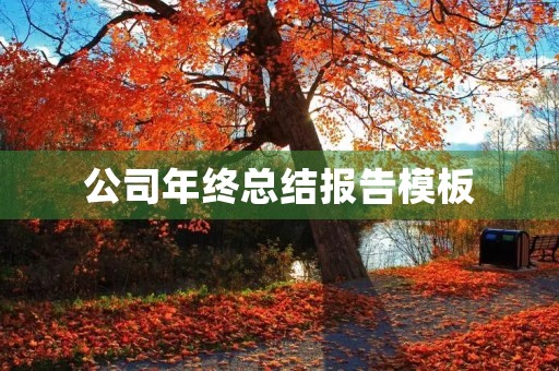 公司年终总结报告模板