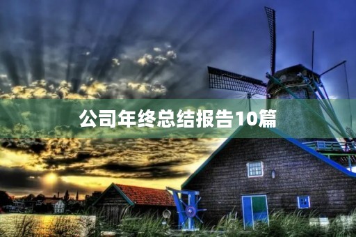 公司年终总结报告10篇
