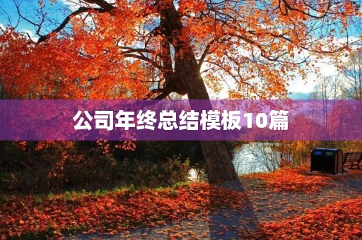 公司年终总结模板10篇