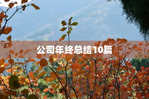 公司年终总结10篇