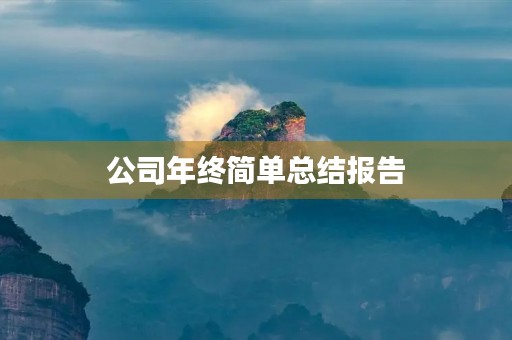 公司年终简单总结报告