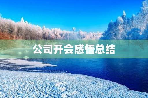 公司开会感悟总结