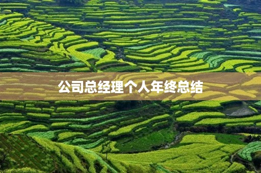 公司总经理个人年终总结
