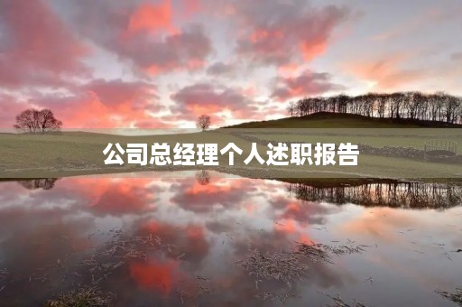 公司总经理个人述职报告