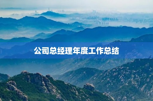 公司总经理年度工作总结