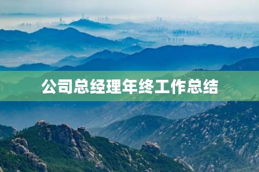 公司总经理年终工作总结