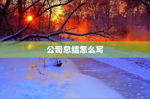 公司总结怎么写