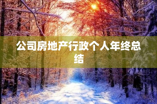 公司房地产行政个人年终总结