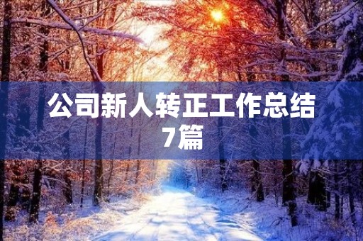 公司新人转正工作总结7篇