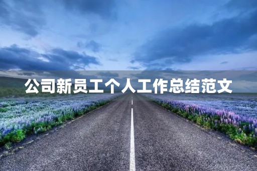 公司新员工个人工作总结范文