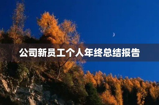 公司新员工个人年终总结报告 公司新员工个人年终总结报告