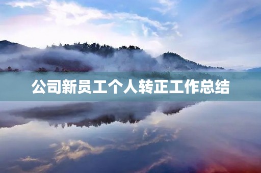公司新员工个人转正工作总结
