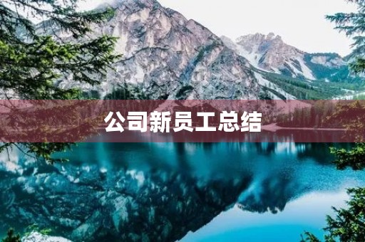 公司新员工总结