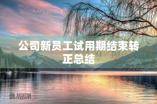 公司新员工试用期结束转正总结