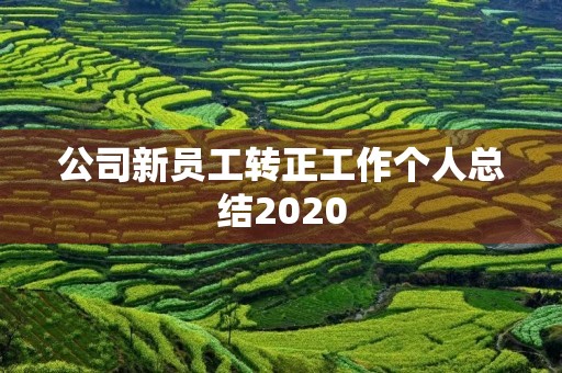 公司新员工转正工作个人总结2020