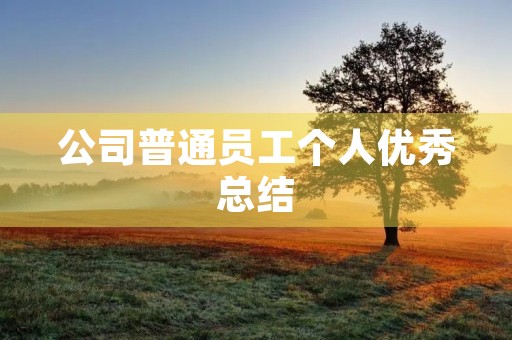 公司普通员工个人优秀总结
