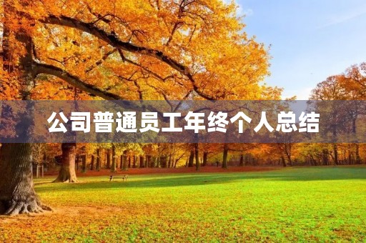 公司普通员工年终个人总结