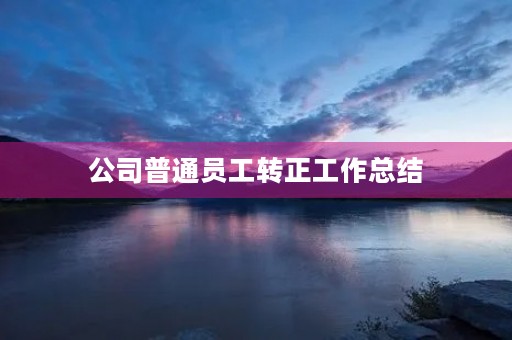 公司普通员工转正工作总结