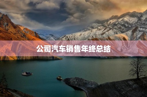 公司汽车销售年终总结