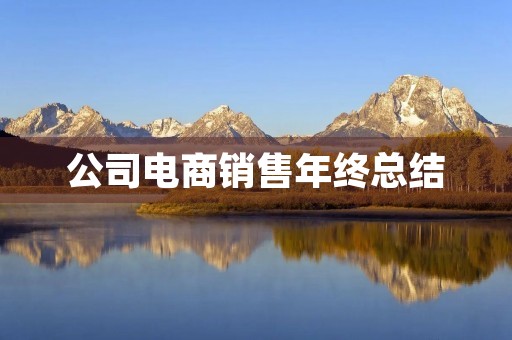 公司电商销售年终总结 公司电商销售年终总结
