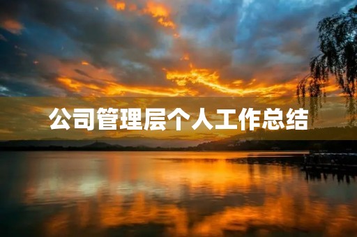 公司管理层个人工作总结