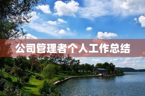 公司管理者个人工作总结