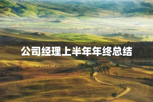 公司经理上半年年终总结