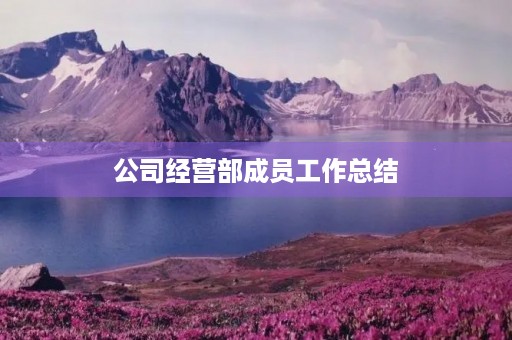 公司经营部成员工作总结