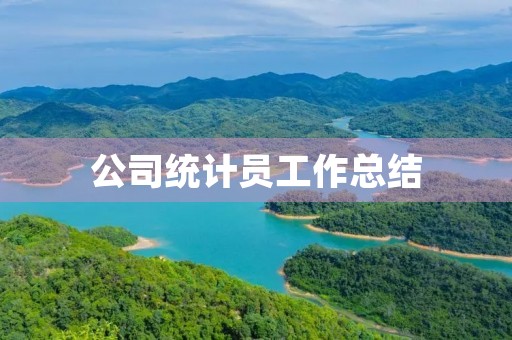 公司统计员工作总结