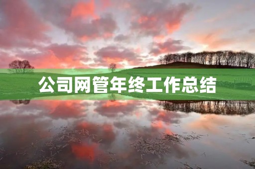 公司网管年终工作总结