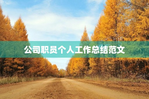 公司职员个人工作总结范文