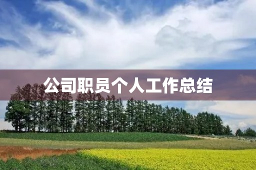 公司职员个人工作总结