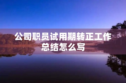公司职员试用期转正工作总结怎么写