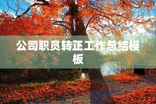 公司职员转正工作总结模板